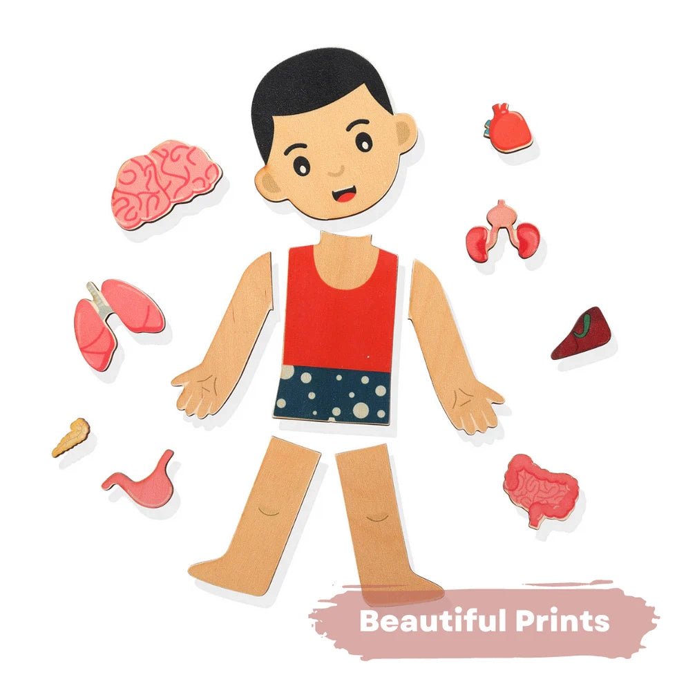 Human Body | Internal Organs Wooden Puzzle - NESTA TOYS