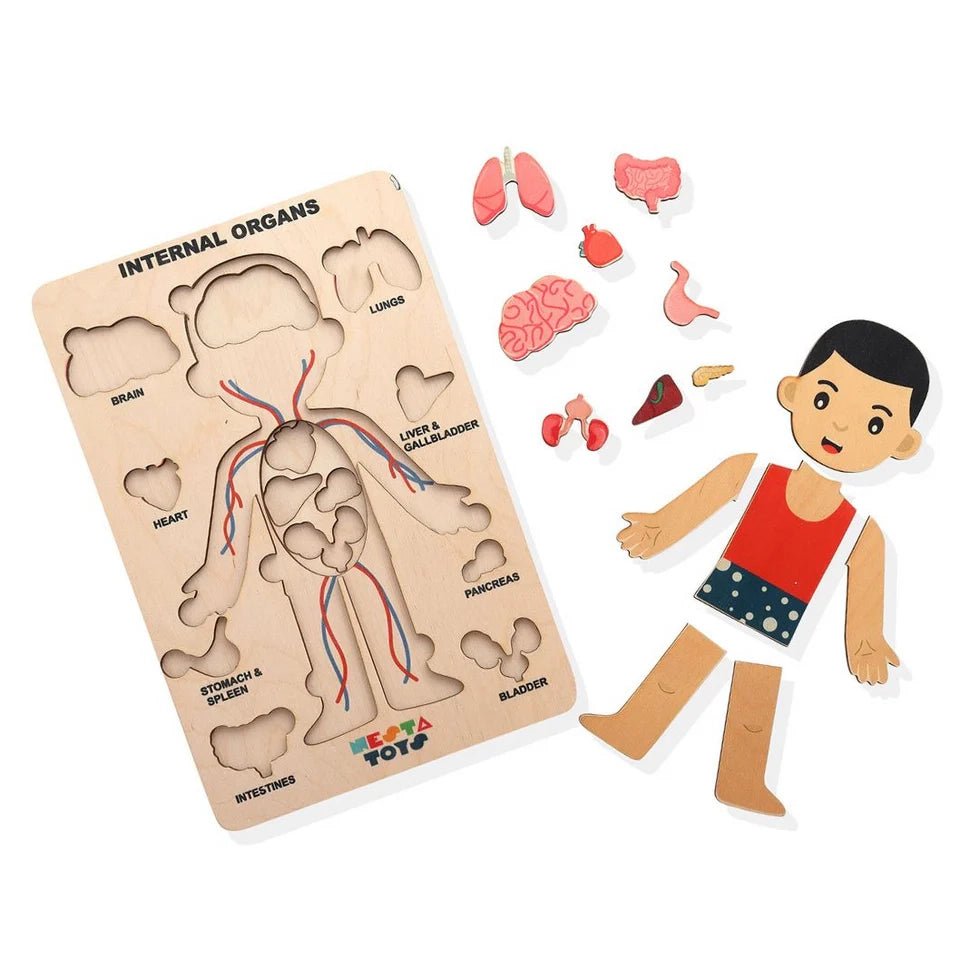 Human Body | Internal Organs Wooden Puzzle - NESTA TOYS