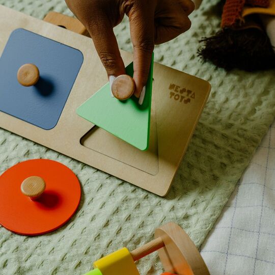 Montessori Wooden Shapes Knob Puzzle - NESTA TOYS