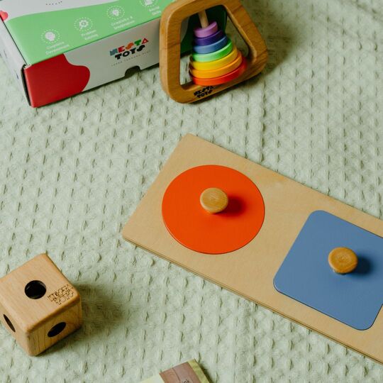 Montessori Wooden Shapes Knob Puzzle - NESTA TOYS