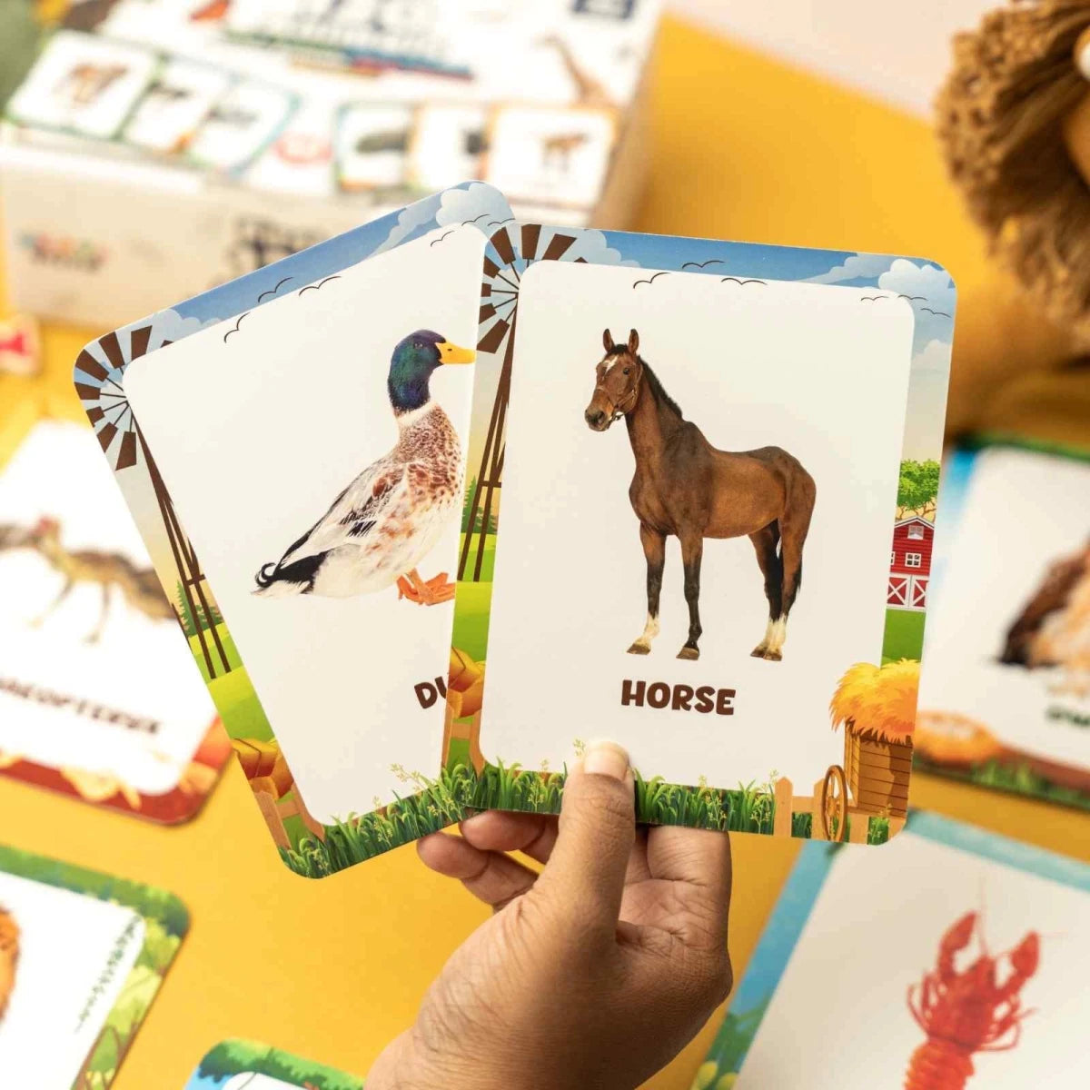 Animal Flashcards (120 Pictures) - NESTA TOYS
