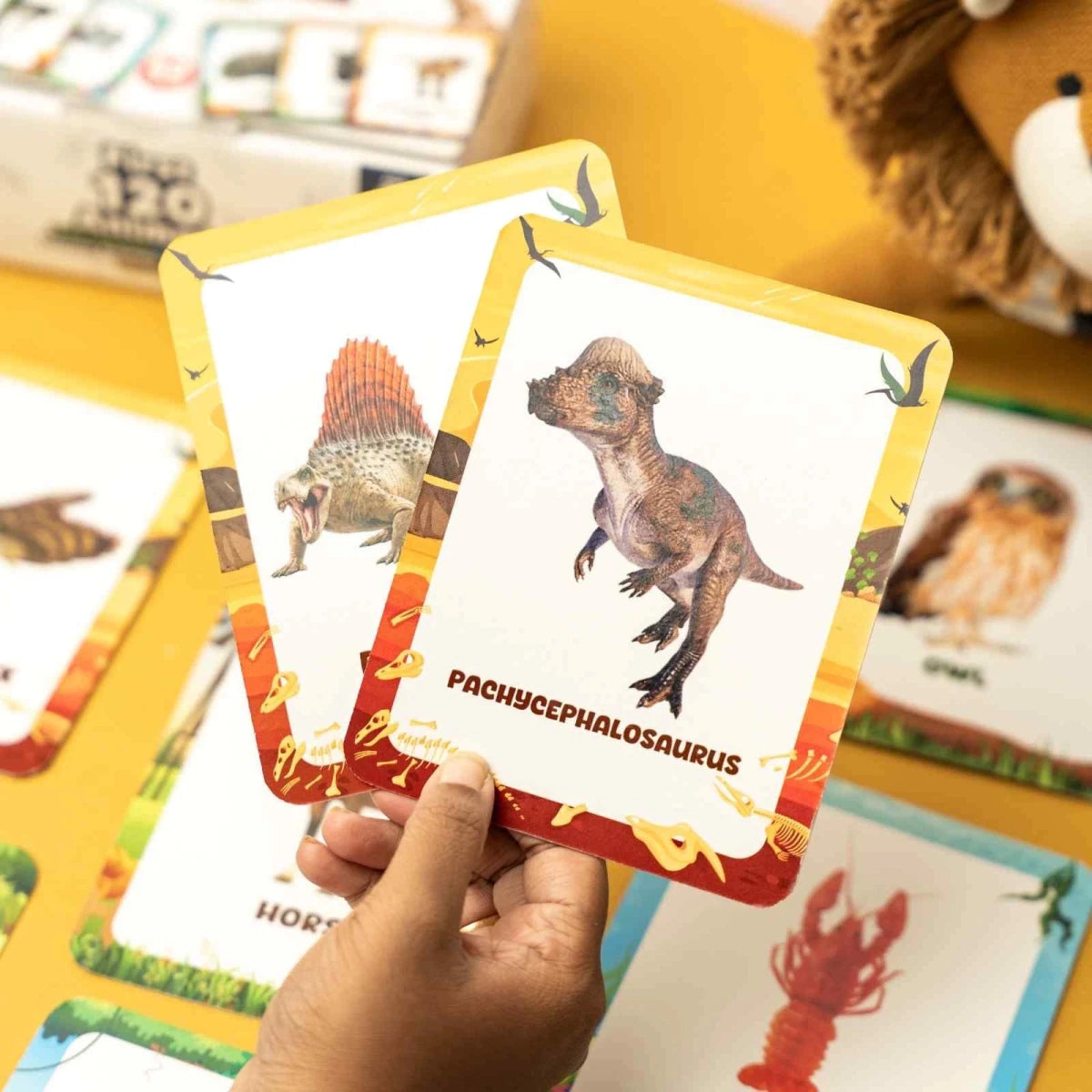 Animal Flashcards (120 Pictures) - NESTA TOYS