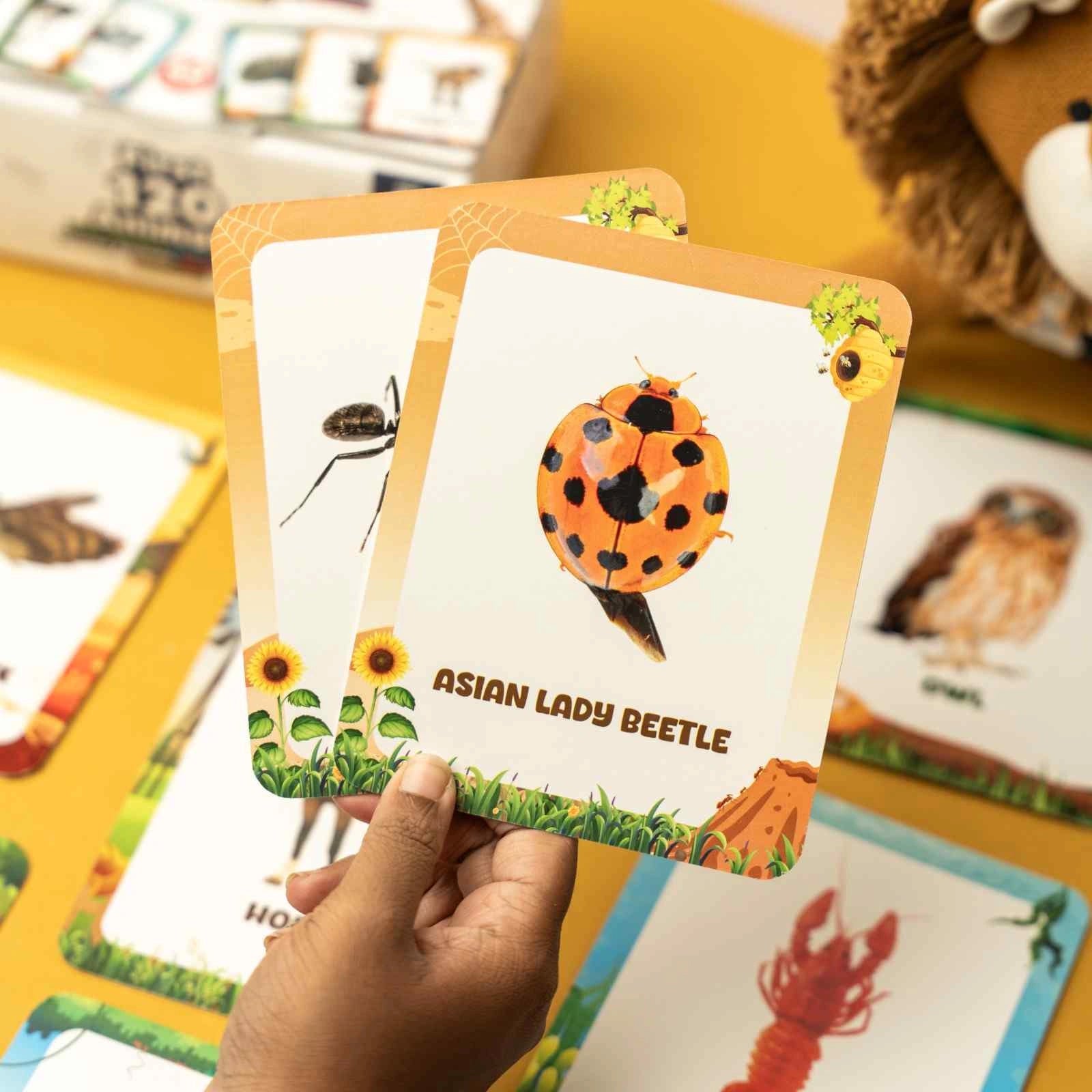 NESTA TOYS 120 animal flash cards for toddlers, Montessori learning activity for vocabulary and animal recognition, ages 1 to 4 years.