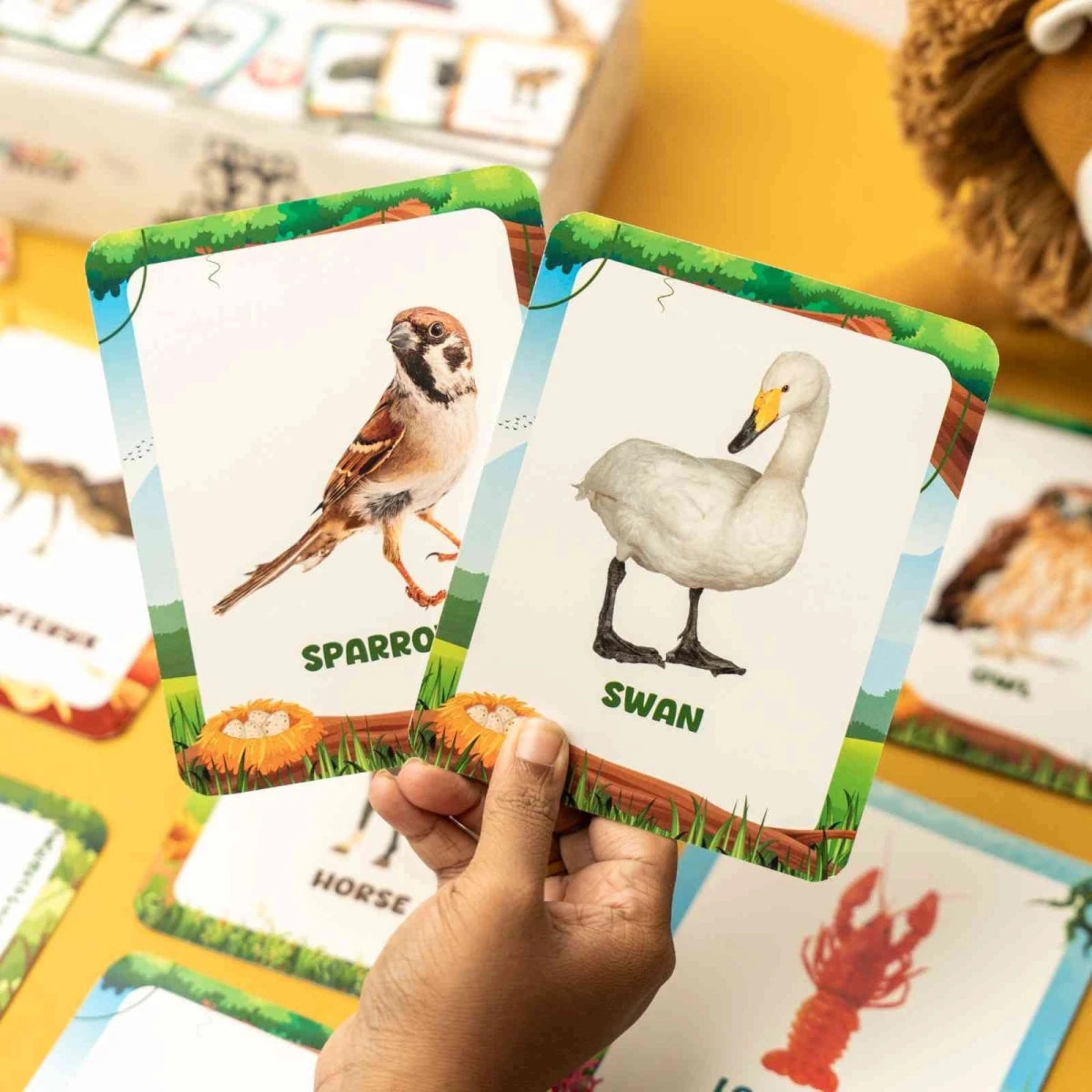 Animal Flashcards (120 Pictures) - NESTA TOYS