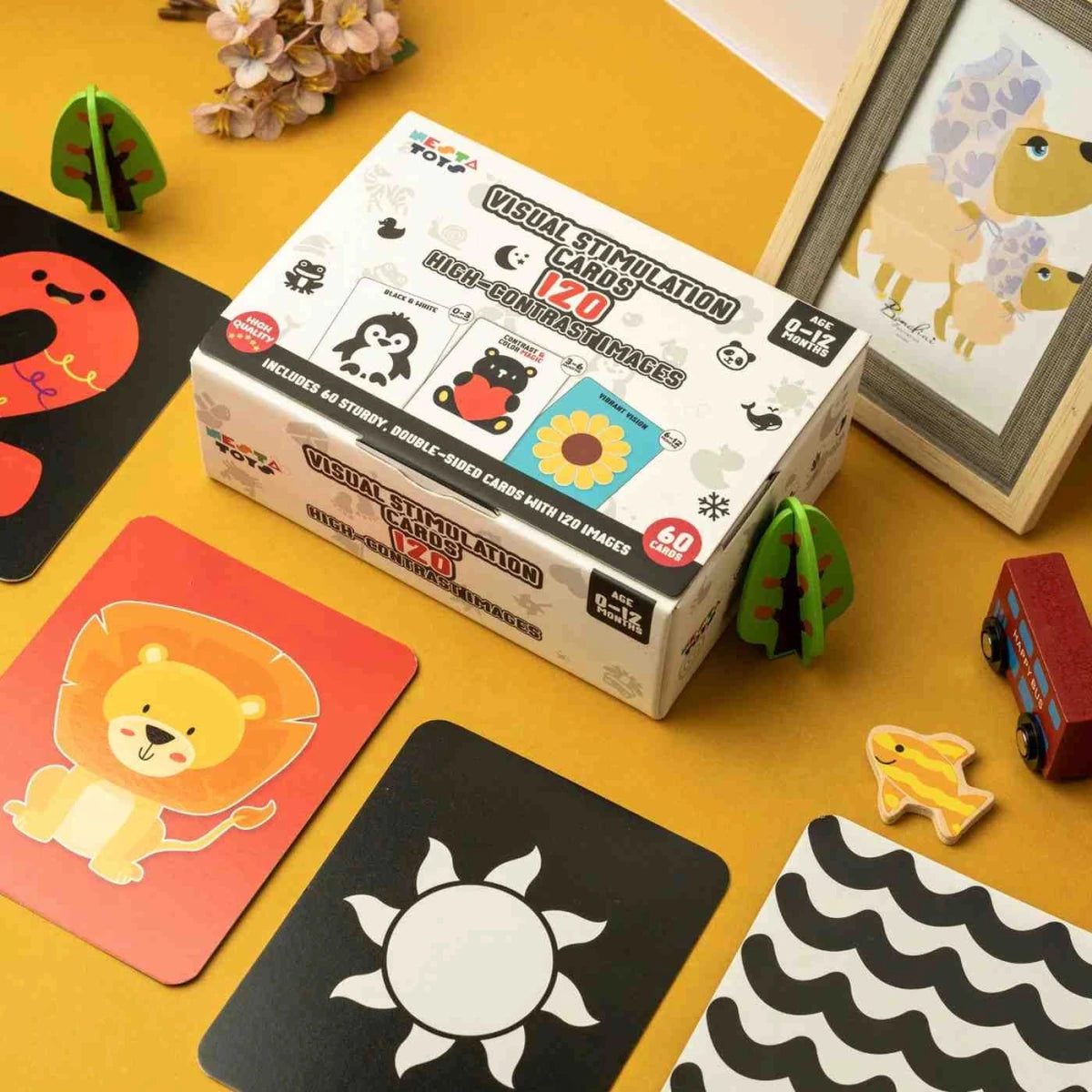 Visual Stimulation Learning Activity Card for Babies - NESTA TOYS