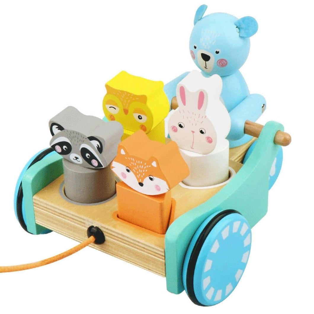 Pull along toy, wooden toy for babies, building blocks for babies, pull along animal, wooden truck, wooden car, wooden building blocks, wooden puzzle for kids, nesta toys, toys for toddler, toys for babies,