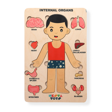 Nesta toys,  wooden puzzle, human anatomy puzzle, human body puzzle, wooden toys, gift ideas for kids, gift ideas for babies, sound toys,  human body parts puzzle, Montessori toys, STEM Toys, chunky wooden puzzle, educational toys, toy manufacturer