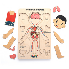 Load image into Gallery viewer, Nesta toys,  wooden puzzle, human anatomy puzzle, human body puzzle, wooden toys, gift ideas for kids, gift ideas for babies, sound toys,  human body parts puzzle, Montessori toys, STEM Toys, chunky wooden puzzle, educational toys, toy manufacturer
