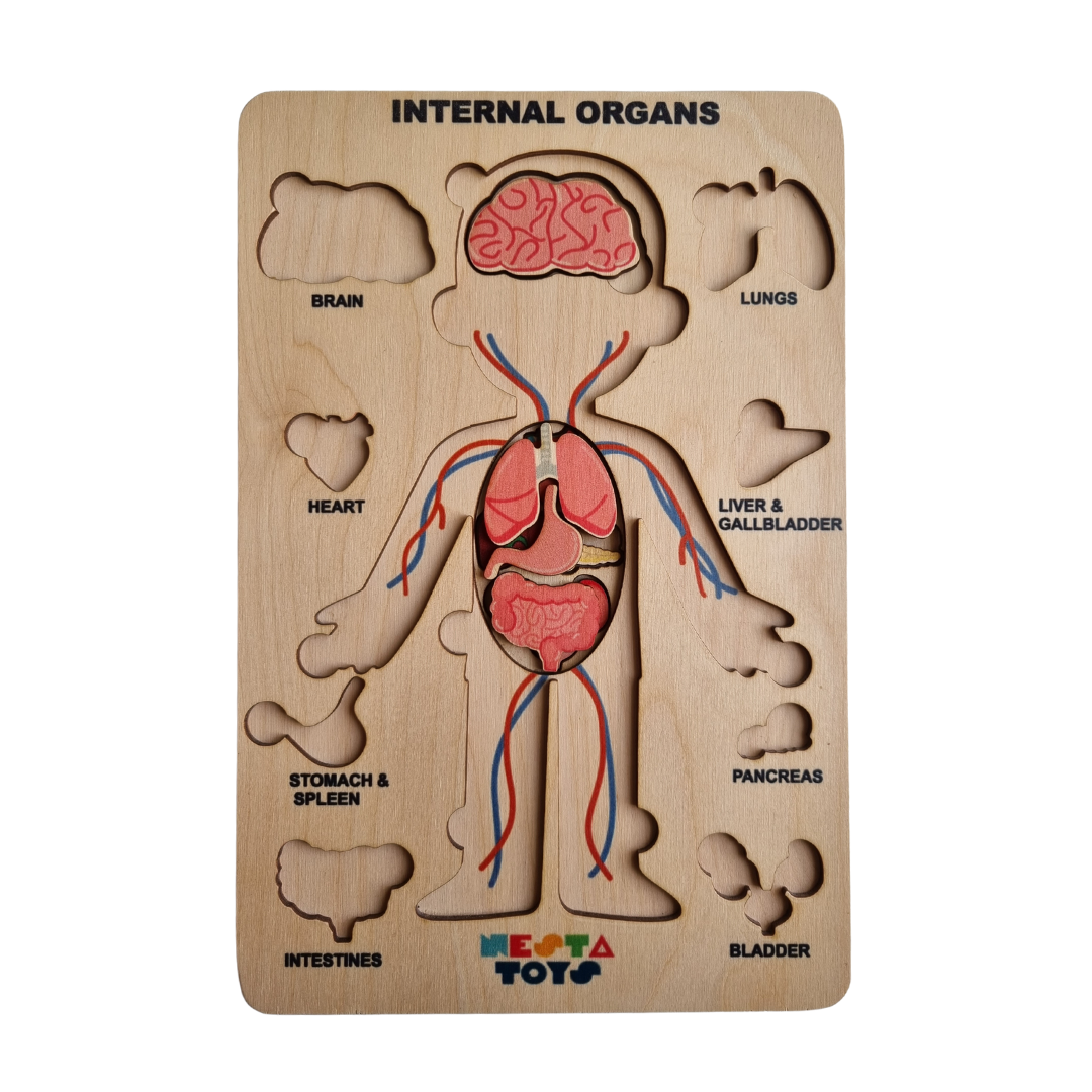 Nesta toys,  wooden puzzle, human anatomy puzzle, human body puzzle, wooden toys, gift ideas for kids, gift ideas for babies, sound toys,  human body parts puzzle, Montessori toys, STEM Toys, chunky wooden puzzle, educational toys, toy manufacturer