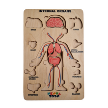 Load image into Gallery viewer, Nesta toys,  wooden puzzle, human anatomy puzzle, human body puzzle, wooden toys, gift ideas for kids, gift ideas for babies, sound toys,  human body parts puzzle, Montessori toys, STEM Toys, chunky wooden puzzle, educational toys, toy manufacturer
