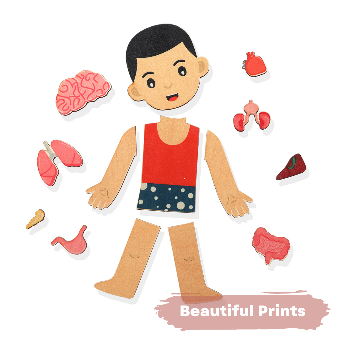 Nesta toys,  wooden puzzle, human anatomy puzzle, human body puzzle, wooden toys, gift ideas for kids, gift ideas for babies, sound toys,  human body parts puzzle, Montessori toys, STEM Toys, chunky wooden puzzle, educational toys, toy manufacturer