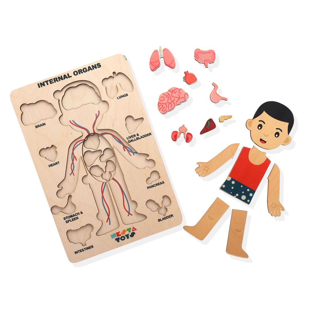 Nesta toys,  wooden puzzle, human anatomy puzzle, human body puzzle, wooden toys, gift ideas for kids, gift ideas for babies, sound toys,  human body parts puzzle, Montessori toys, STEM Toys, chunky wooden puzzle, educational toys, toy manufacturer