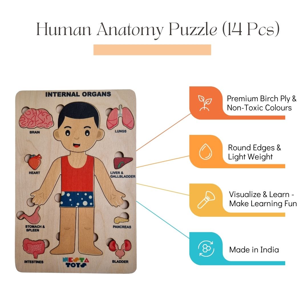 Nesta toys,  wooden puzzle, human anatomy puzzle, human body puzzle, wooden toys, gift ideas for kids, gift ideas for babies, sound toys,  human body parts puzzle, Montessori toys, STEM Toys, chunky wooden puzzle, educational toys, toy manufacturer